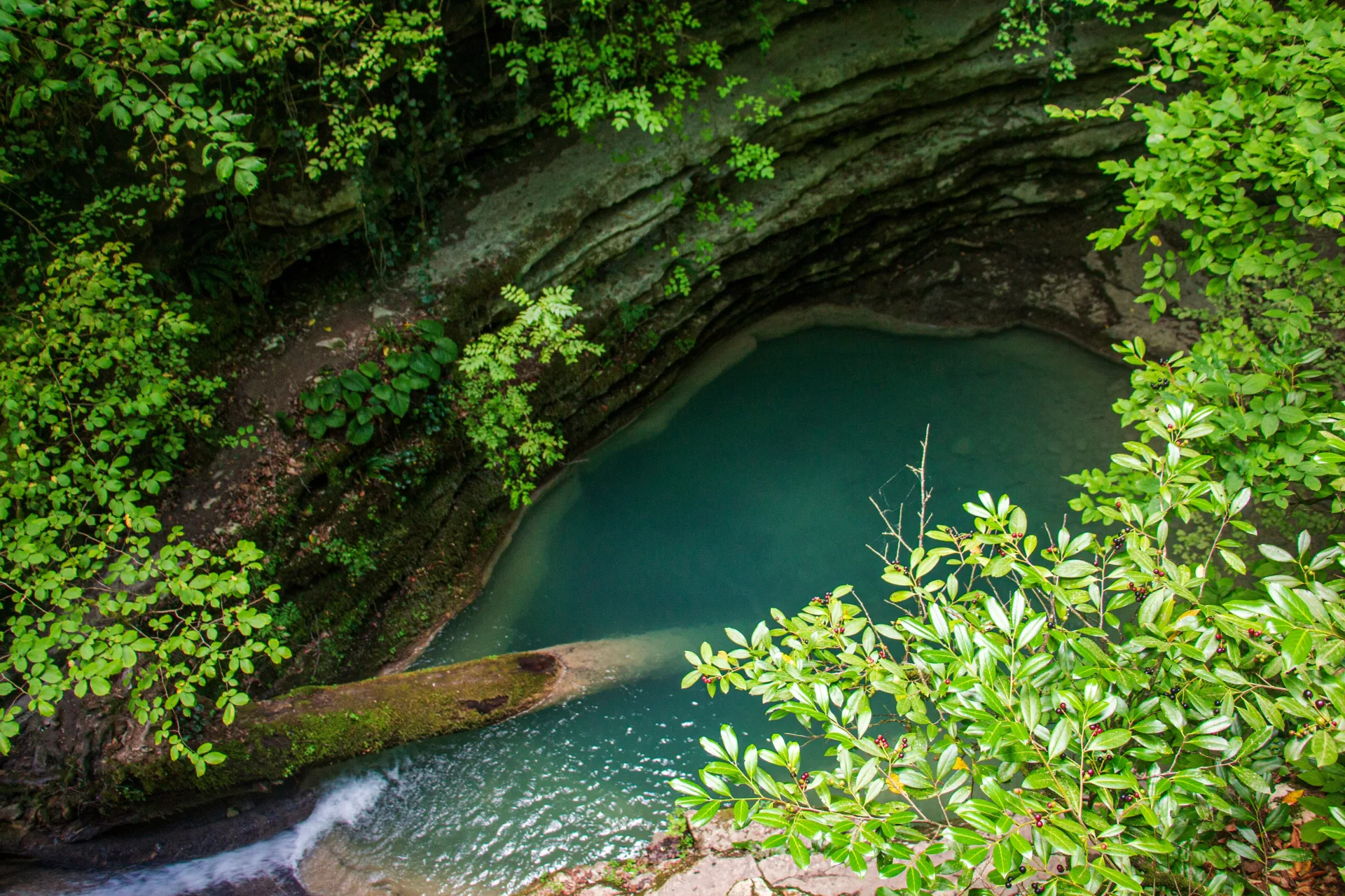 sinop